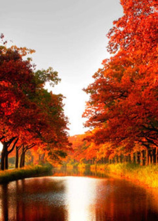 осенние обои