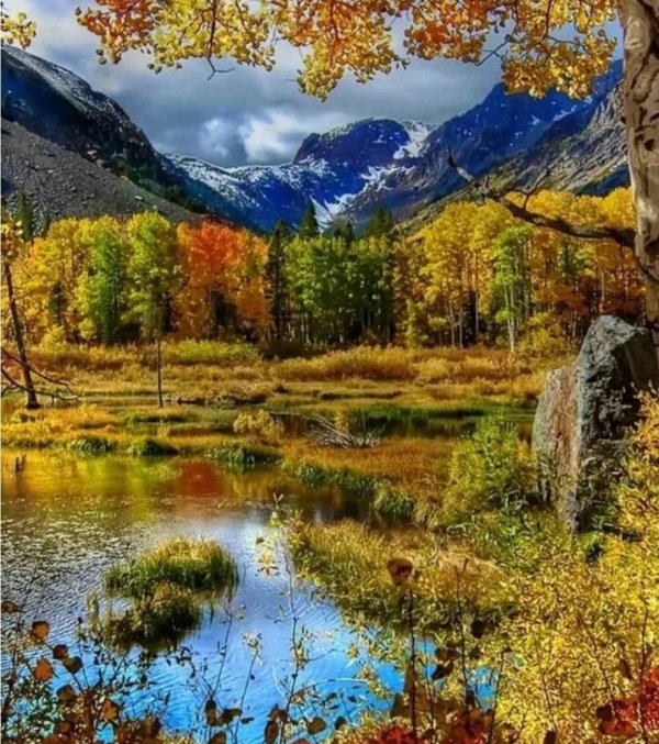 осени пейзаж