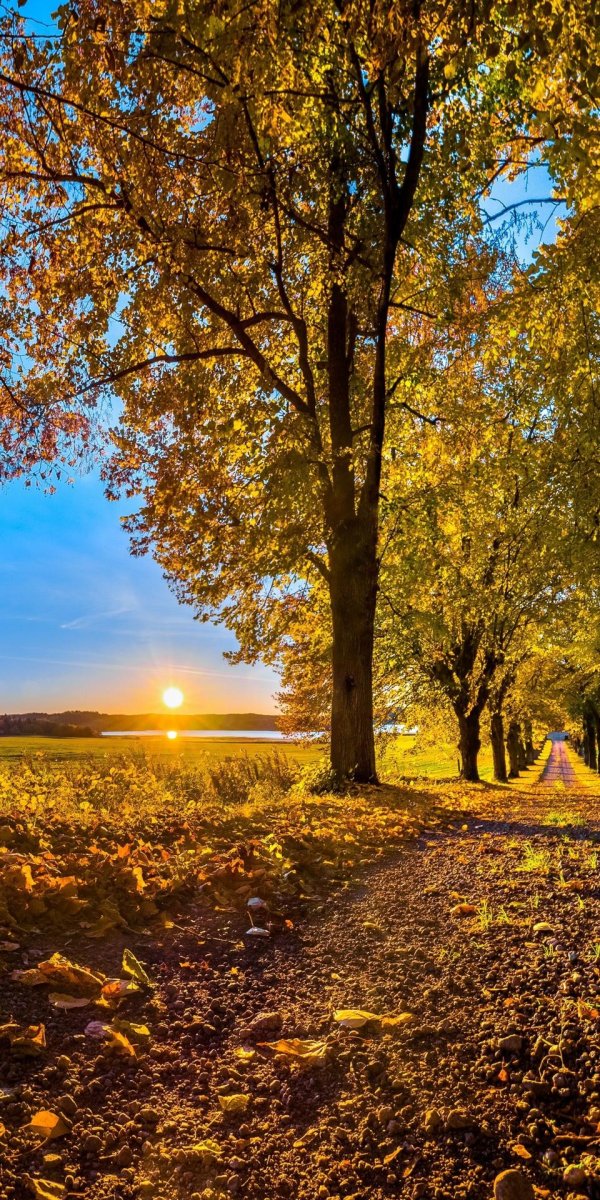 солнечный осенний пейзаж