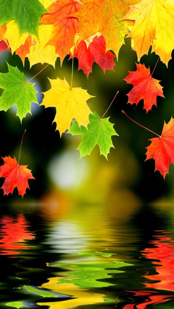 фон осенний