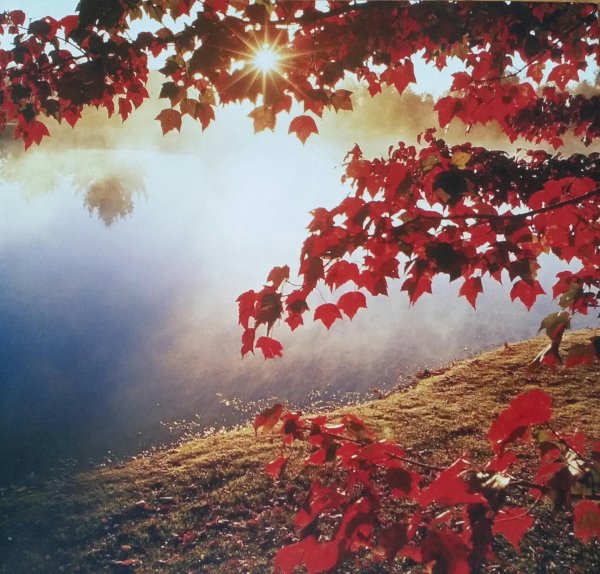 природа осени