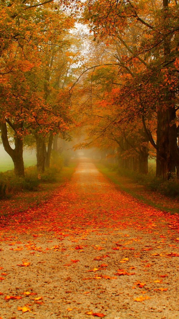 осенние пейзажи