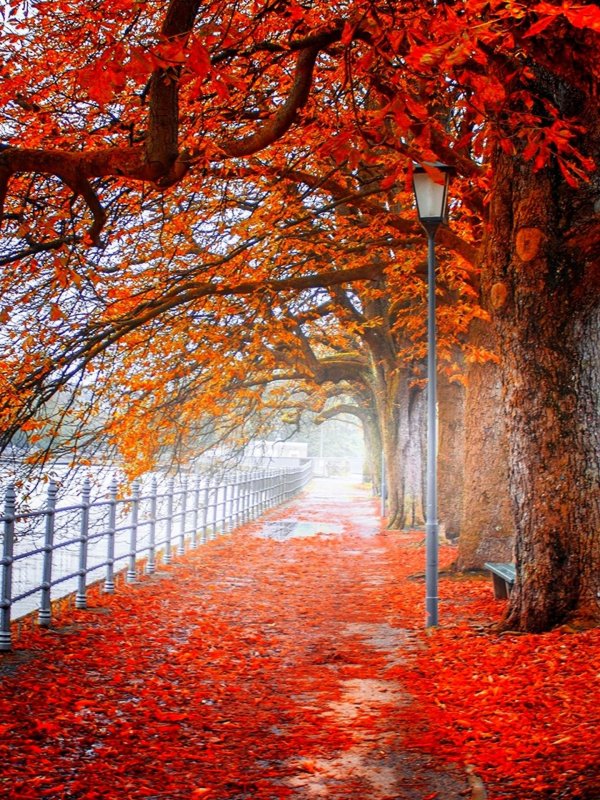 осенние пейзажи