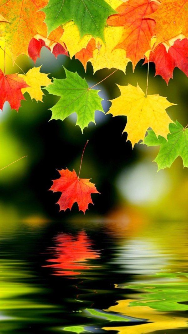 красивый осенний фон