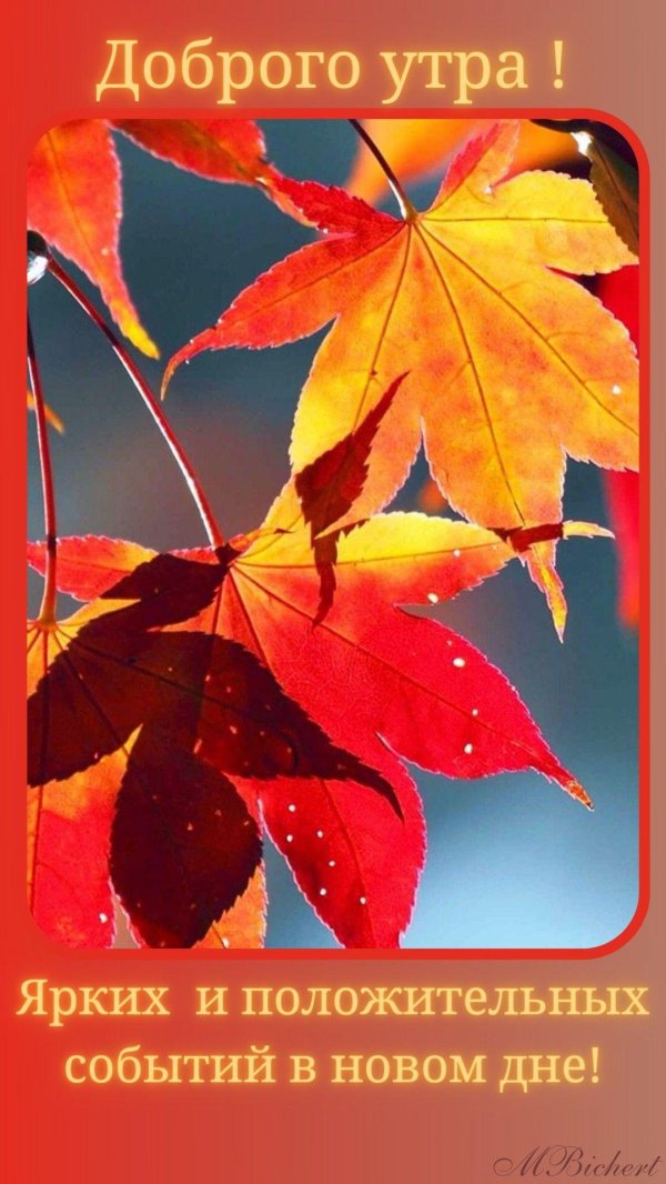доброго утра осеннего