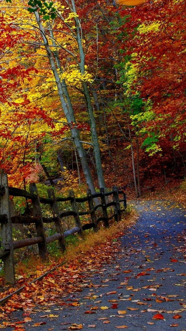 осенние пейзажи