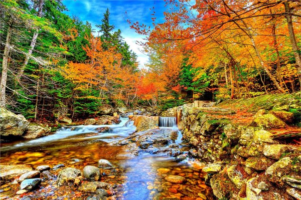 осенние пейзажи