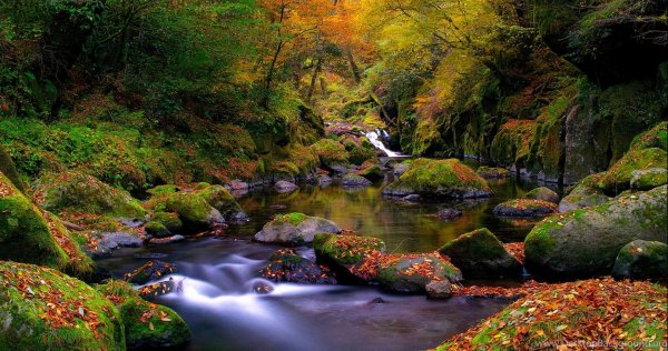 лесной ручей водопад