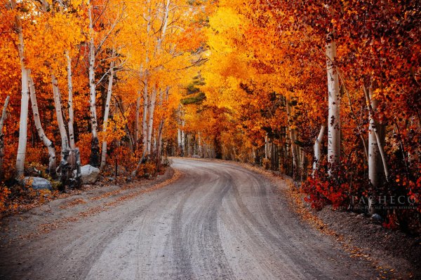 осенняя дорога