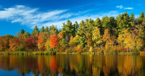 кленовая роща пруд озеро