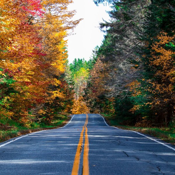 fall foliage road trip