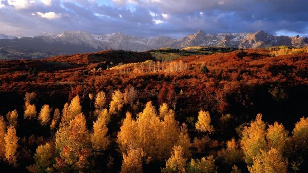осенние пейзажи