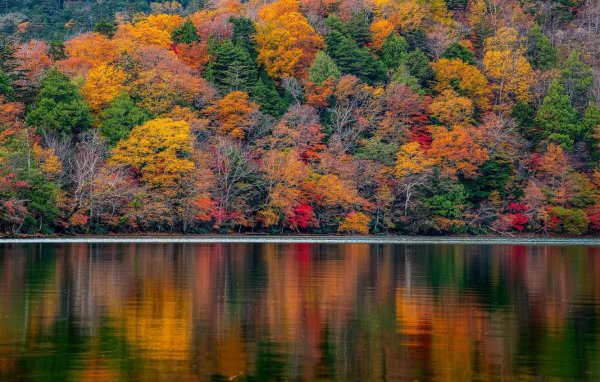 природа осени