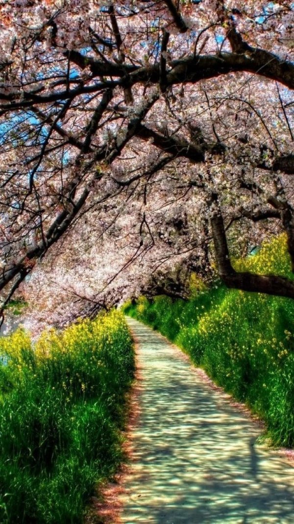 весенние пейзажи