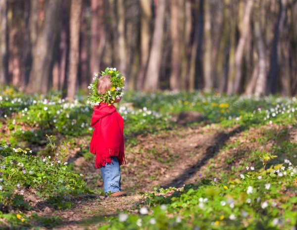 прогулка по весеннему лесу