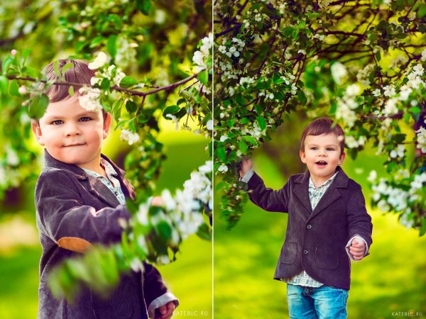 детские фотосессии