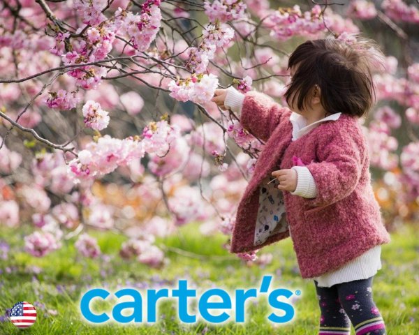 япония сакура ханами