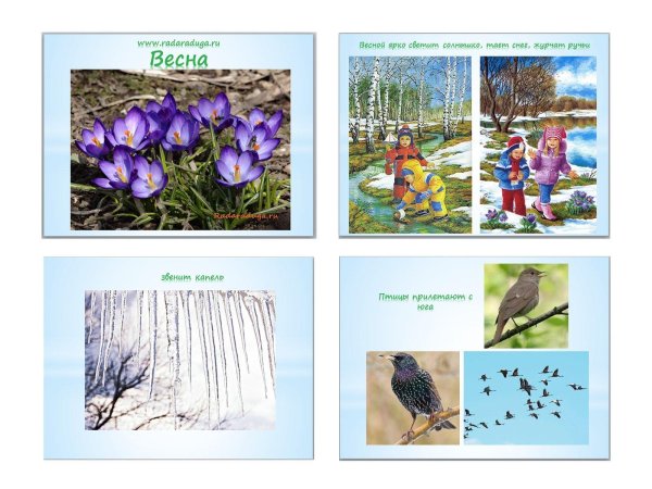 признаки весны для дошкольников