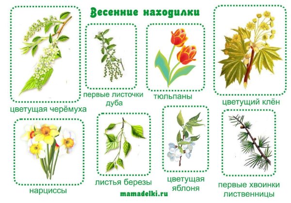 весенние находилки
