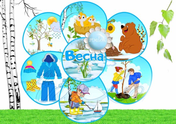 уголок природы в детсаду