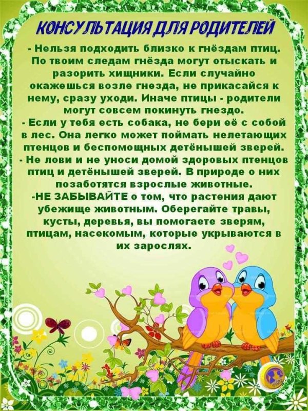 консультации для родителей