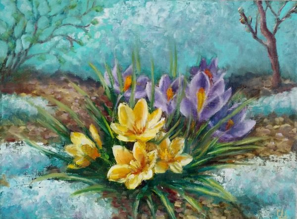 крокусы елена тенер