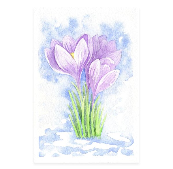 первоцветы акварелью