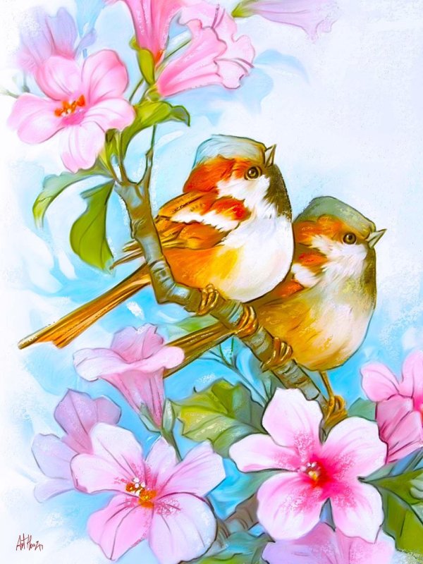 акварельные птицы