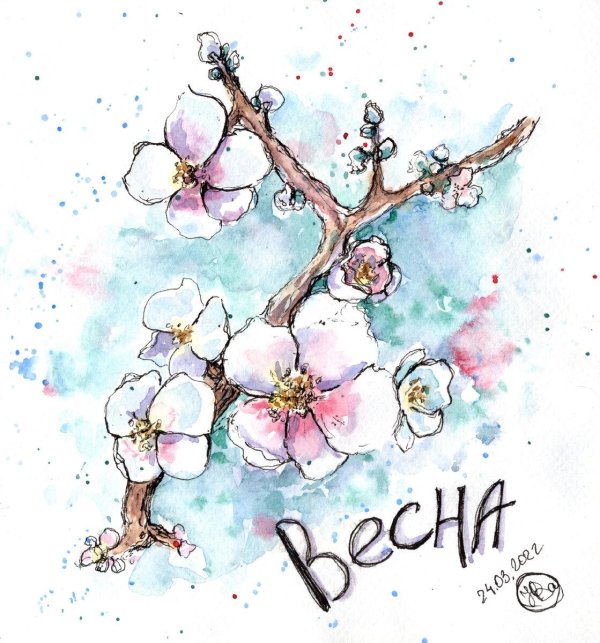 сакура акварель