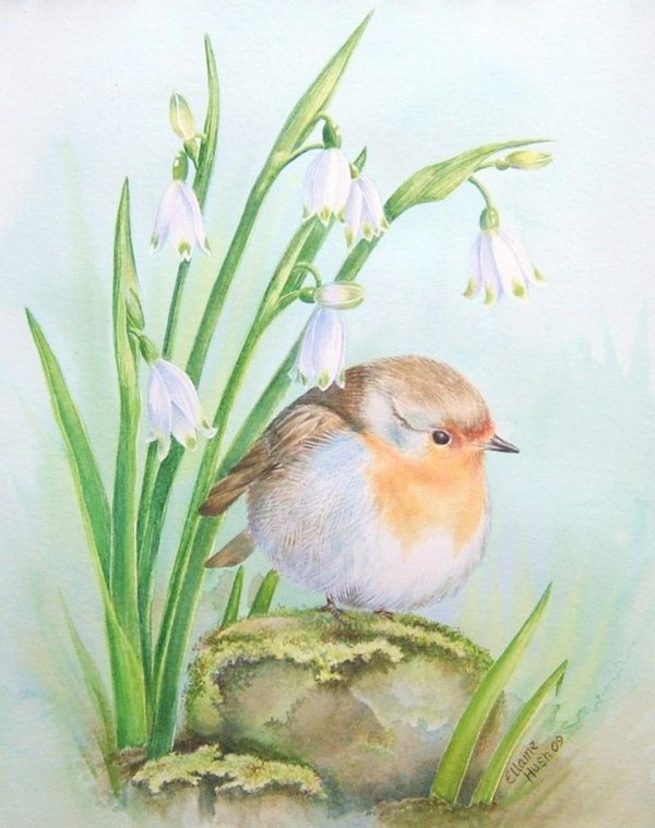 художница елизавета мелкозерова