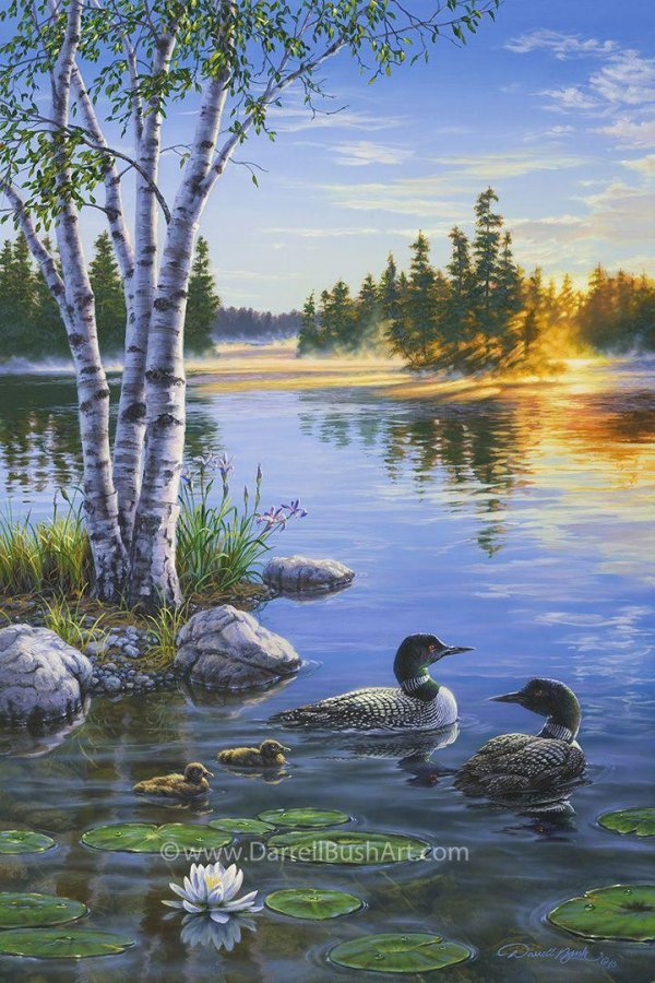 пейзаж с утками