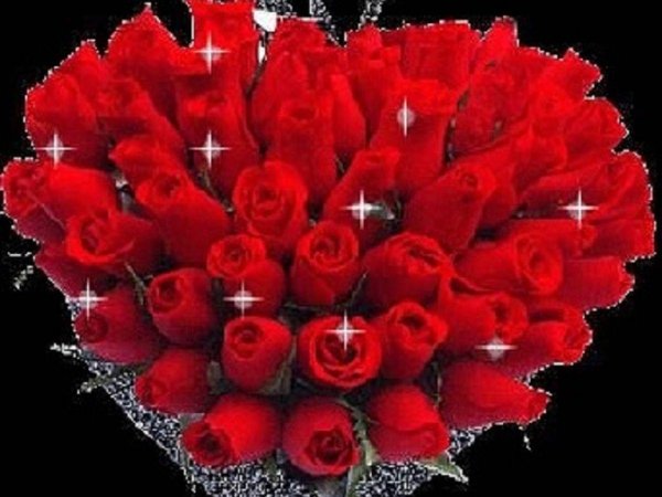 букет роз красивый