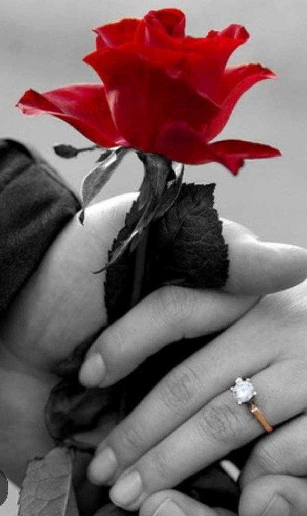 любовь боль