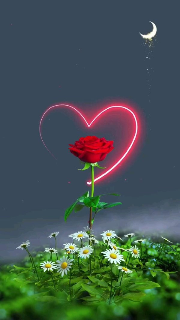 спокойной ночи романтические