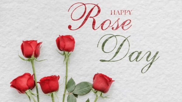 rose day