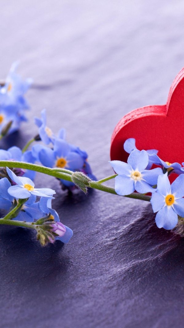 красивое сердце