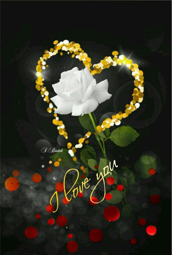 цветок сердце