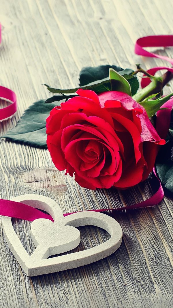 цветок сердце