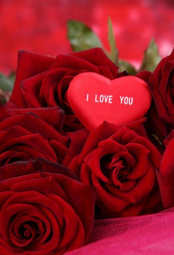 цветок для любимой