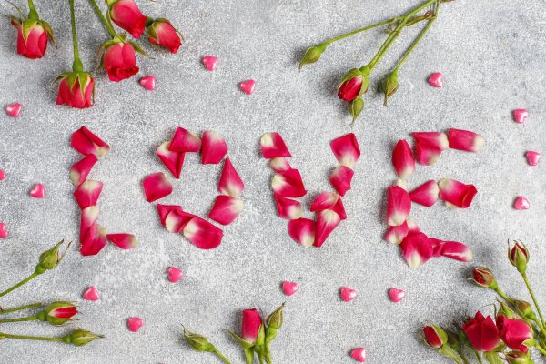 лепестки роз