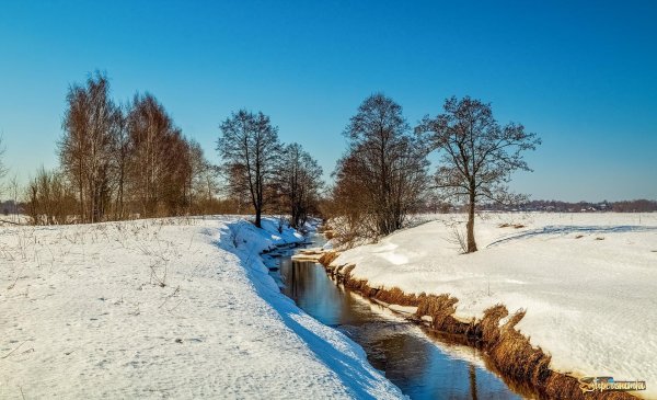 весенняя река