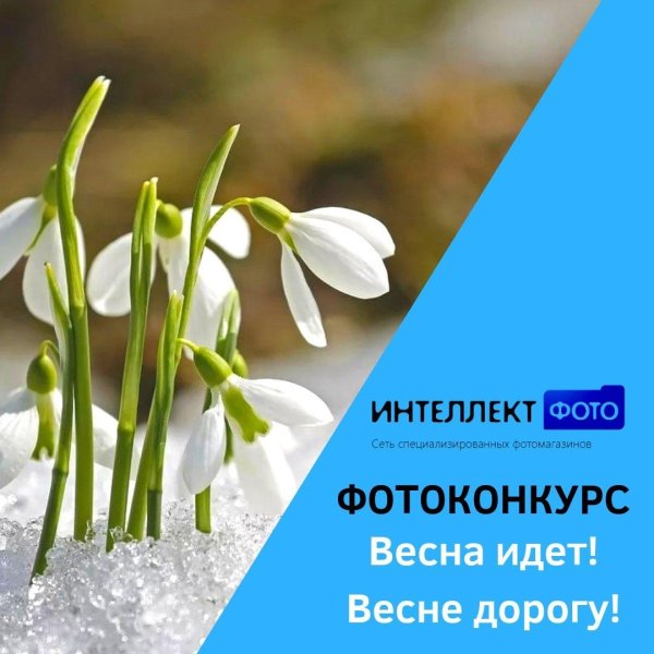 весна подснежник