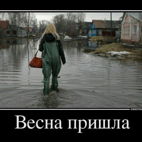 приколы про весну