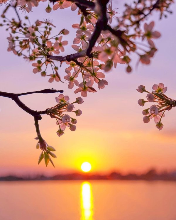 закат пейзаж