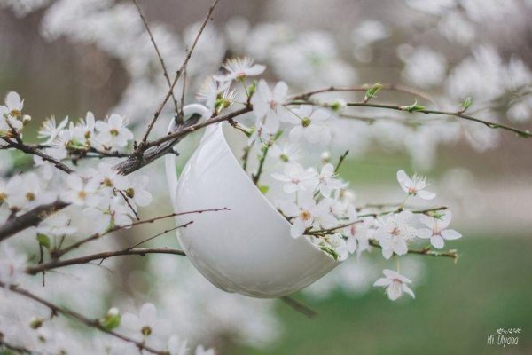 весеннего утра