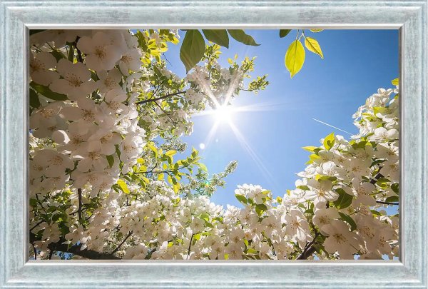 весенний солнечный день