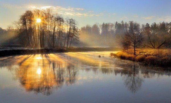 ноябрьские пейзажи