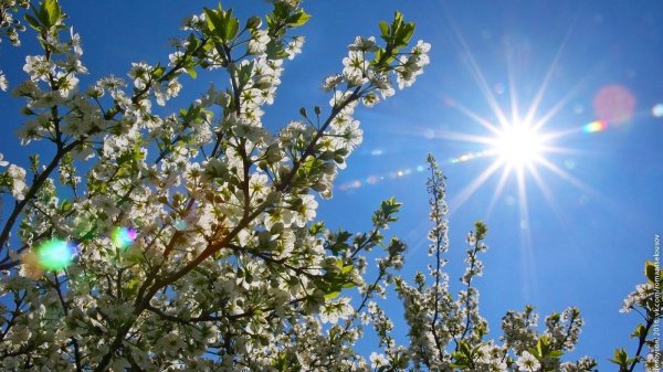 весенний солнечный день