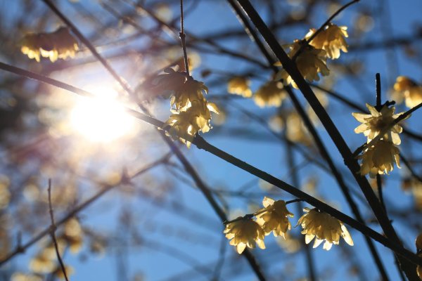 весенний солнечный день