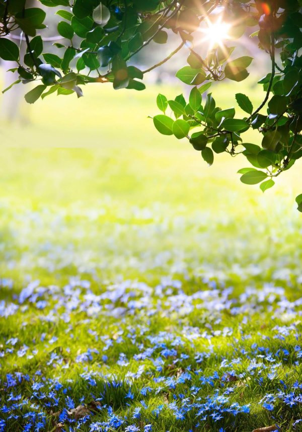 spring background